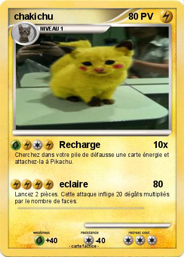 Pokemon chakichu