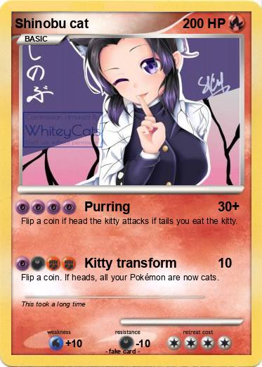 Pokemon Shinobu cat