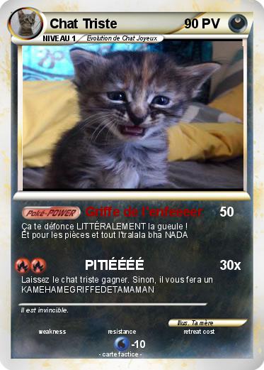 Pokemon Chat Triste