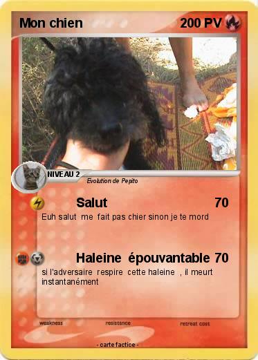 Pokemon Mon chien