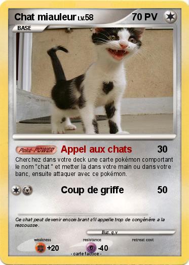 Pokemon Chat miauleur
