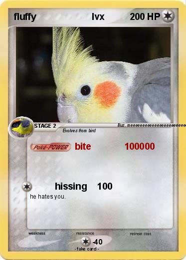 Pokemon fluffy                      lvx