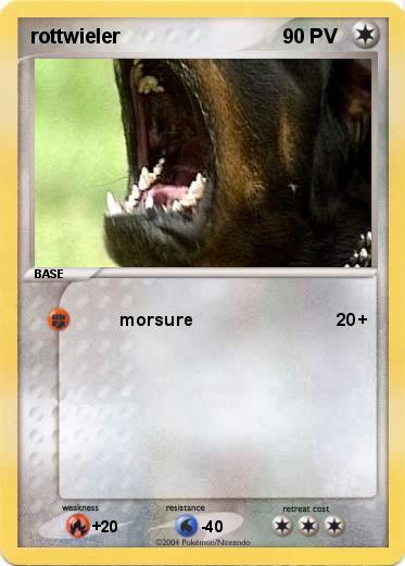 Pokemon rottwieler