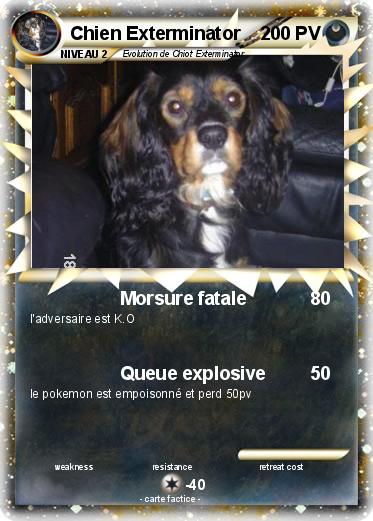 Pokemon Chien Exterminator