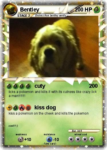 Pokemon Bentley