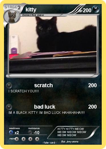 Pokemon kitty