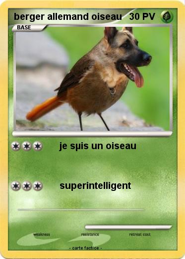 Pokemon berger allemand oiseau