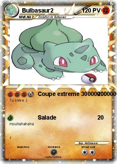 Pokemon Bulbasaur2