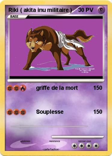 Pokemon Riki ( akita inu militaire )