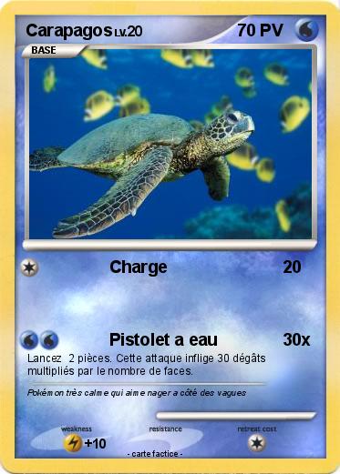 Pokemon Carapagos
