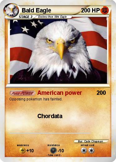 Pokemon Bald Eagle