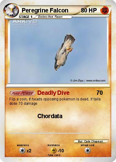 Pokemon Peregrine Falcon