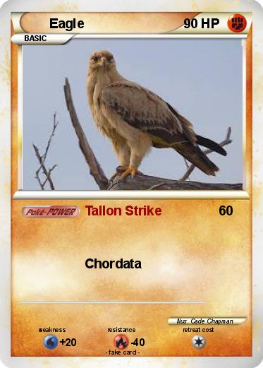 Pokemon Eagle