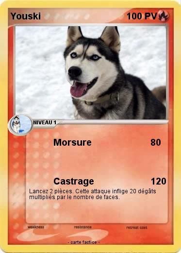 Pokemon Youski