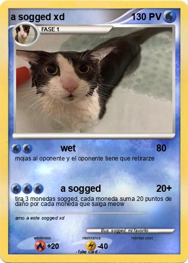 Pokemon a sogged xd