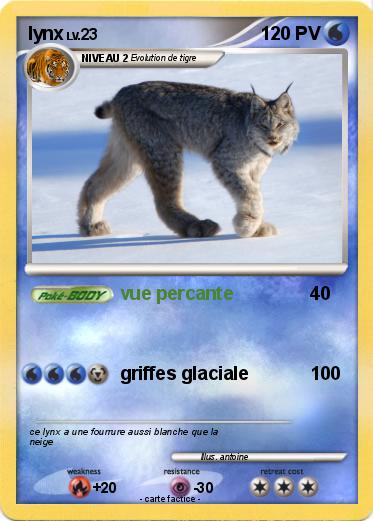 Pokemon lynx