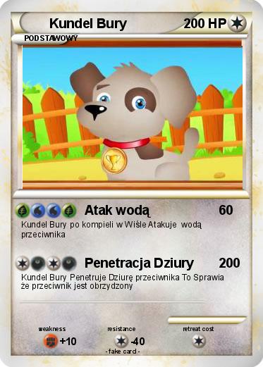 Pokemon Kundel Bury