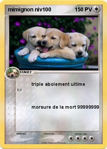 Pokemon mimignon niv100