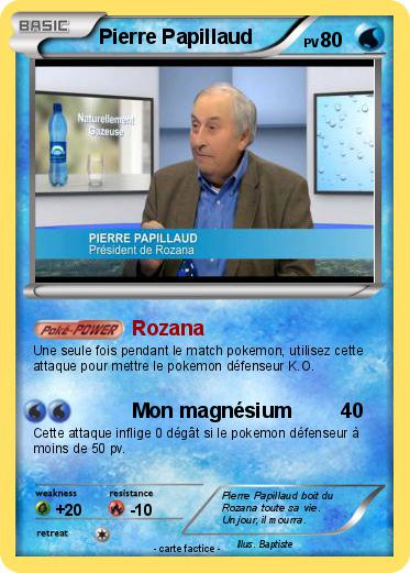 Pokemon Pierre Papillaud