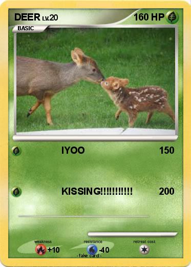 Pokemon DEER