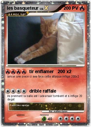 Pokemon les basqueteur