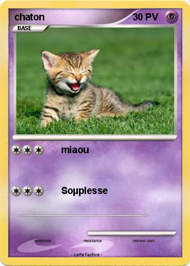 Pokemon chaton