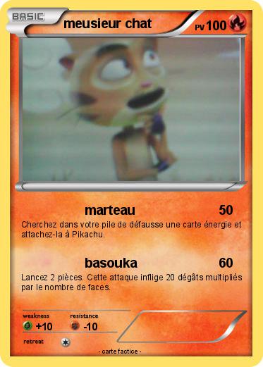 Pokemon meusieur chat