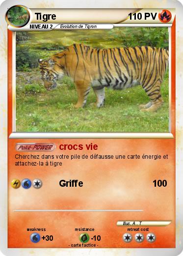 Pokemon Tigre