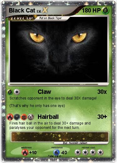 Pokemon Black Cat