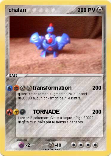 Pokemon chatan