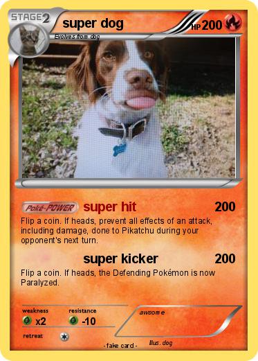 Pokemon super dog