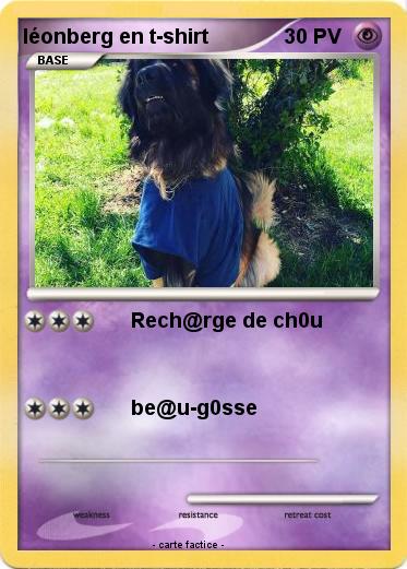 Pokemon léonberg en t-shirt