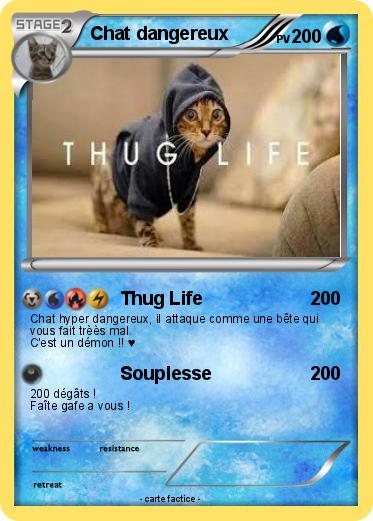 Pokemon Chat dangereux