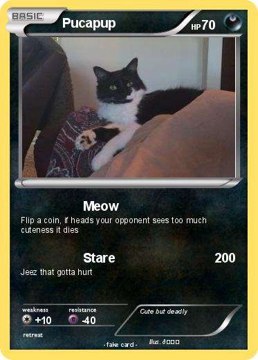 Pokemon Pucapup