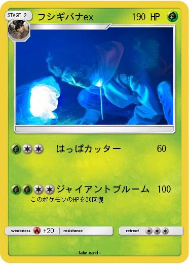 Pokemon フシギバナex