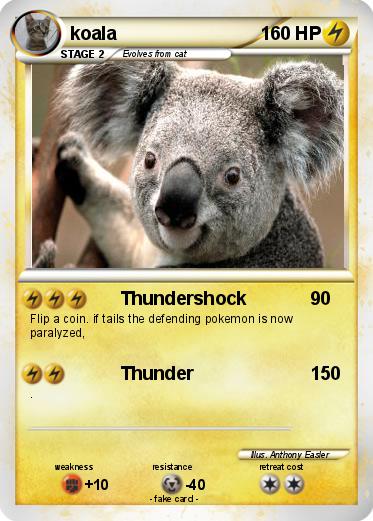 Pokemon koala