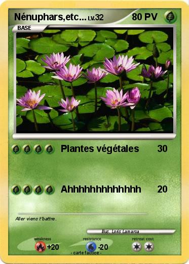 Pokemon Nénuphars,etc...