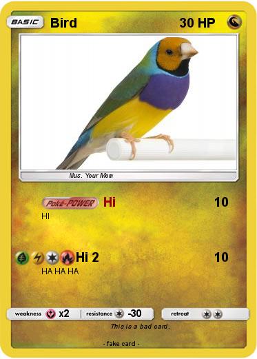 Pokemon Bird