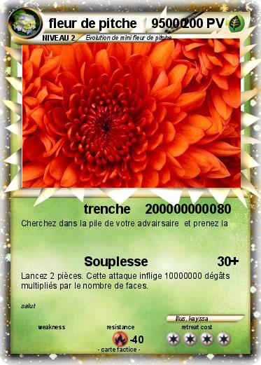 Pokemon fleur de pitche    95000