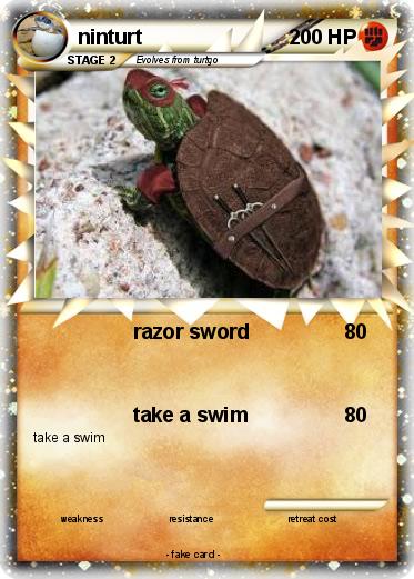 Pokemon ninturt