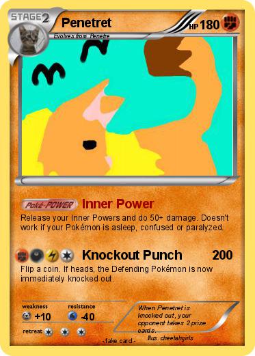Pokemon Penetret
