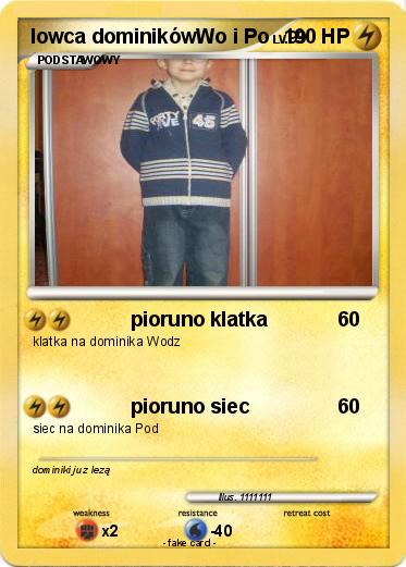 Pokemon lowca dominikówWo i Po