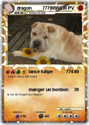 Pokemon dragon         77789999