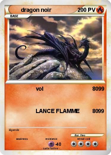 Pokemon dragon noir