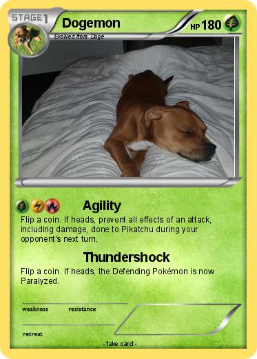 Pokemon Dogemon