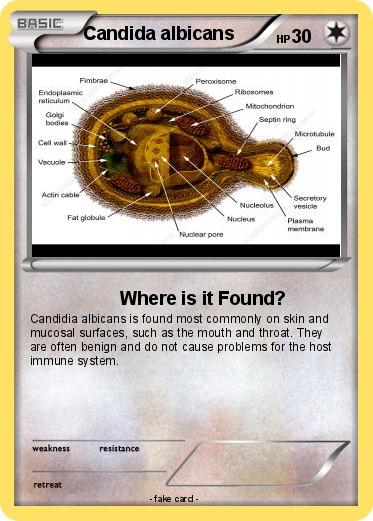 Pokemon Candida albicans