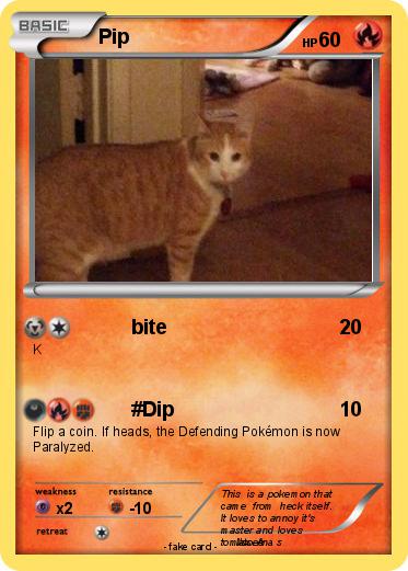 Pokemon Pip
