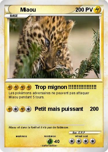Pokemon Miaou