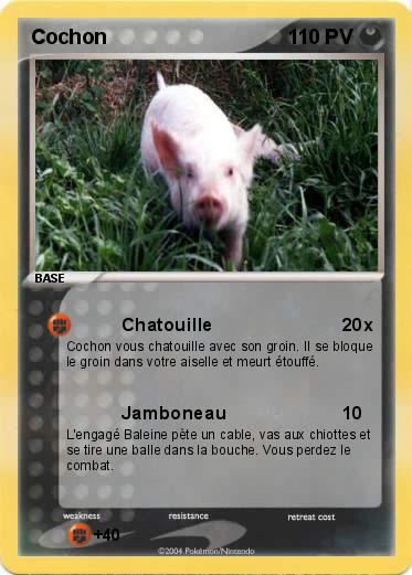 Pokemon Cochon