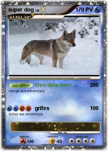 Pokemon super dog